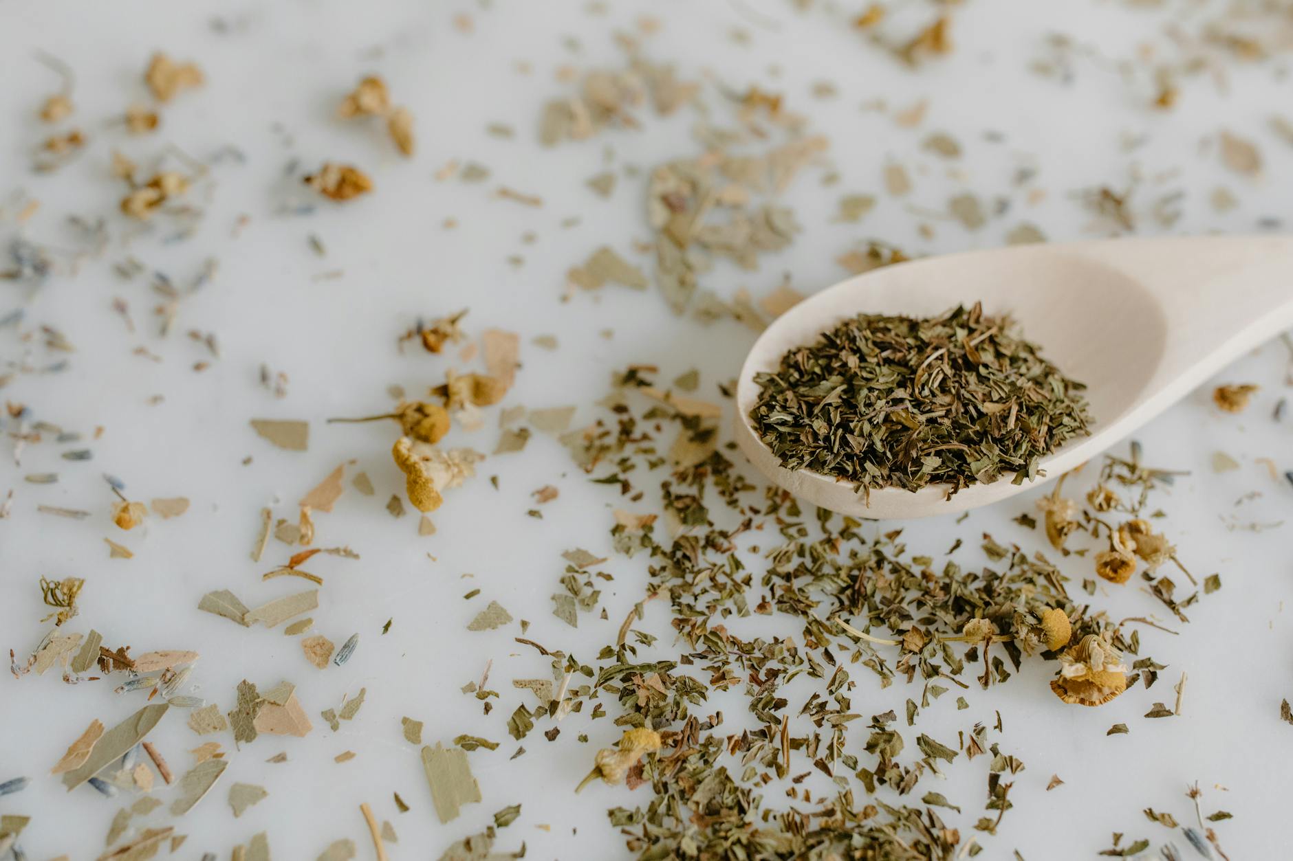 Adaptogens: Nature’s Hug for Stress